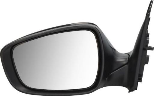 BLIC 5402-20-2001365P - Rétroviseur extérieur droxauto.com