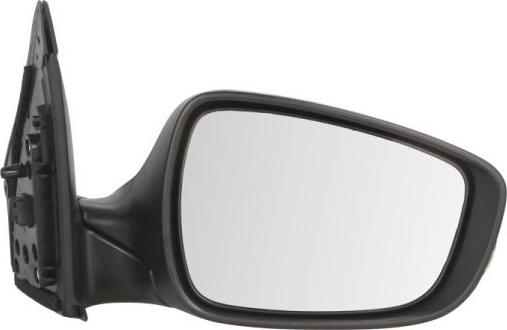 BLIC 5402-20-2001366P - Rétroviseur extérieur droxauto.com
