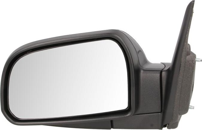 BLIC 5402-20-2001377P - Rétroviseur extérieur droxauto.com