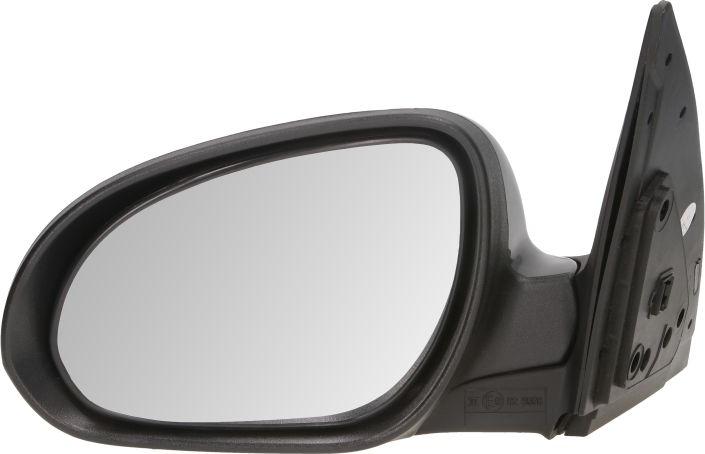 BLIC 5402-20-2002841P - Rétroviseur extérieur droxauto.com
