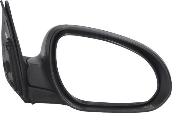 BLIC 5402-20-2002842P - Rétroviseur extérieur droxauto.com