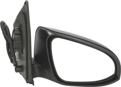 BLIC 5402-21-045366P - Rétroviseur extérieur droxauto.com