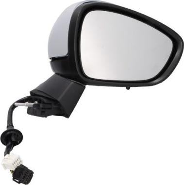 BLIC 5402-21-042366P - Rétroviseur extérieur droxauto.com