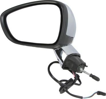 BLIC 5402-21-039333P - Rétroviseur extérieur droxauto.com
