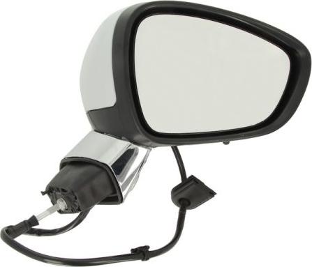 BLIC 5402-21-039332P - Rétroviseur extérieur droxauto.com