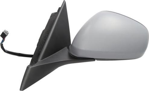 BLIC 5402-22-017333P - Rétroviseur extérieur droxauto.com