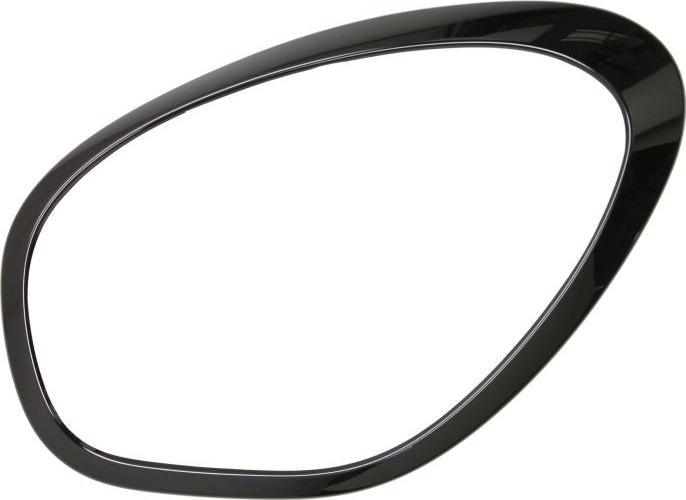 BLIC 6502-07-4003993P - Cadre, projecteur principal droxauto.com