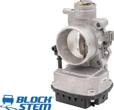 BlockStem CFR0098 - Corps papillon droxauto.com