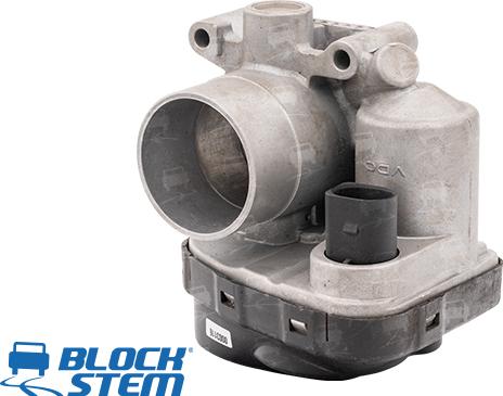 BlockStem CFR0028 - Corps papillon droxauto.com