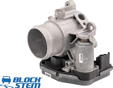 BlockStem CFR0170 - Corps papillon droxauto.com