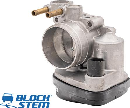 BlockStem CFR0211 - Corps papillon droxauto.com