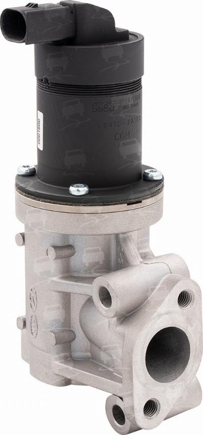 BlockStem EGR0191R - Vanne EGR droxauto.com