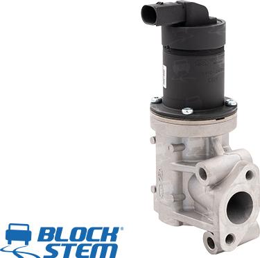 BlockStem EGR0191 - Vanne EGR droxauto.com