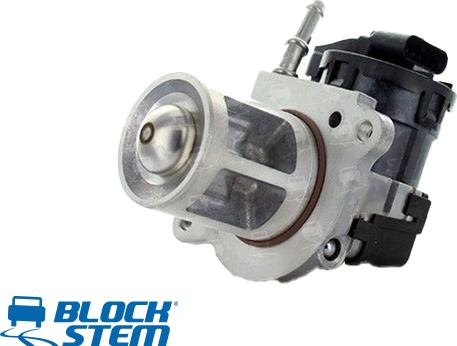 BlockStem EGR0320 - Vanne EGR droxauto.com