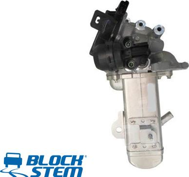BlockStem EGR0275 - Vanne EGR droxauto.com