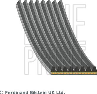 Blue Print AD08A1055 - Courroie trapézoïdale à nervures droxauto.com