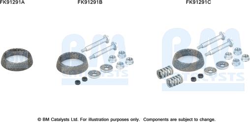 BM Catalysts FK91291 - Kit d'assemblage, catalyseur droxauto.com