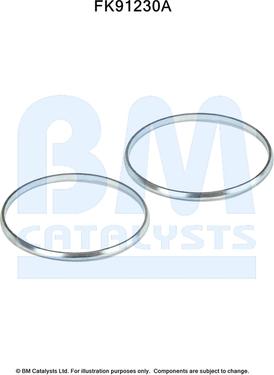 BM Catalysts FK91230 - Kit d'assemblage, catalyseur droxauto.com