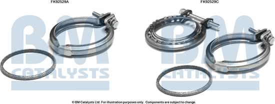 BM Catalysts FK92529 - Kit d'assemblage, catalyseur droxauto.com
