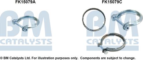 BM Catalysts FK15079 - Kit d'assemblage, filtre à particules / à suie droxauto.com