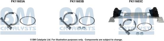 BM Catalysts FK11603 - Kit d'assemblage, filtre à particules / à suie droxauto.com