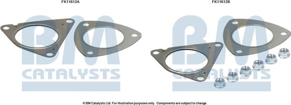 BM Catalysts FK11612 - Kit d'assemblage, filtre à particules / à suie droxauto.com
