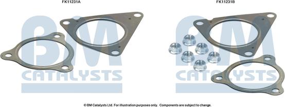 BM Catalysts FK11231 - Kit d'assemblage, filtre à particules / à suie droxauto.com