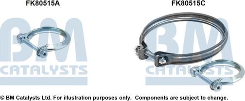 BM Catalysts FK80515 - Kit d'assemblage, catalyseur droxauto.com
