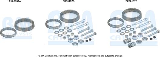 BM Catalysts FK80137 - Kit d'assemblage, catalyseur droxauto.com