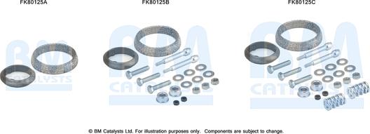 BM Catalysts FK80125 - Kit d'assemblage, catalyseur droxauto.com