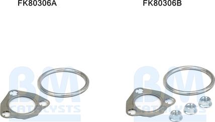 BM Catalysts FK80306 - Kit d'assemblage, catalyseur droxauto.com