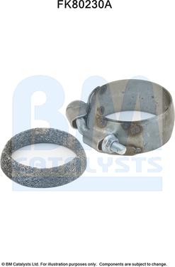 BM Catalysts FK80230 - Kit d'assemblage, catalyseur droxauto.com