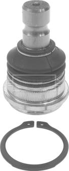 Borg & Beck BBJ5646 - Rotule de suspension droxauto.com