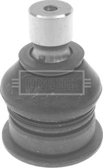 Borg & Beck BBJ5656 - Rotule de suspension droxauto.com