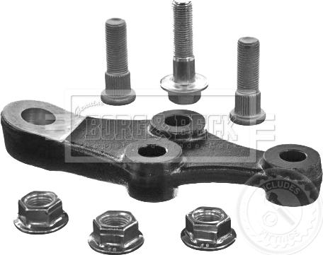 Borg & Beck BBJ5717 - Rotule de suspension droxauto.com