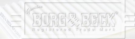 Borg & Beck BFA2099 - Filtre à air droxauto.com