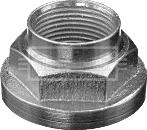 Borg & Beck BHN210 - Écrou, bout d'essieu droxauto.com