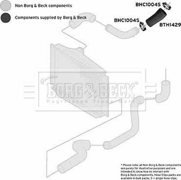 Borg & Beck BTH1429 - Gaine de suralimentation droxauto.com