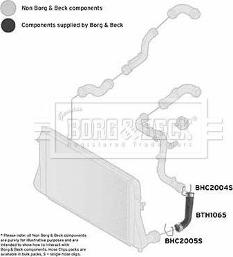 Borg & Beck BTH1065 - Gaine de suralimentation droxauto.com