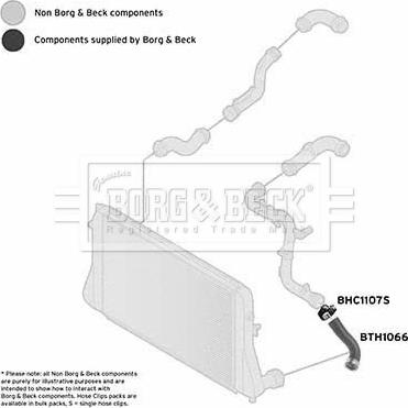 Borg & Beck BTH1066 - Gaine de suralimentation droxauto.com