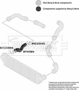 Borg & Beck BTH1084 - Gaine de suralimentation droxauto.com