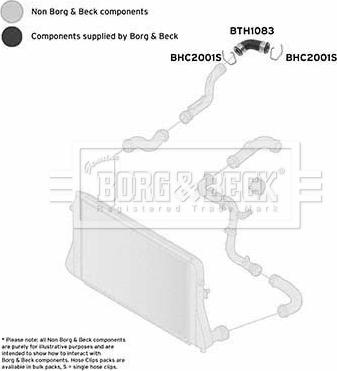 Borg & Beck BTH1083 - Gaine de suralimentation droxauto.com