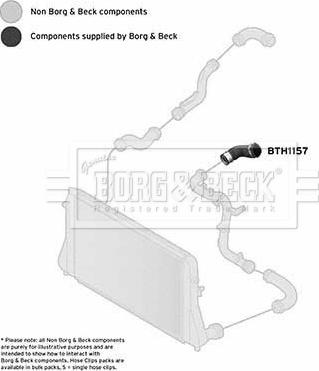 Borg & Beck BTH1157 - Gaine de suralimentation droxauto.com