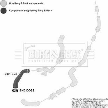 Borg & Beck BTH1303 - Gaine de suralimentation droxauto.com