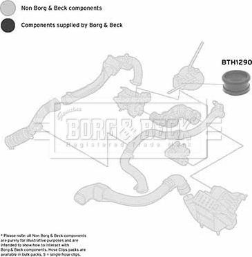 Borg & Beck BTH1290 - Gaine de suralimentation droxauto.com