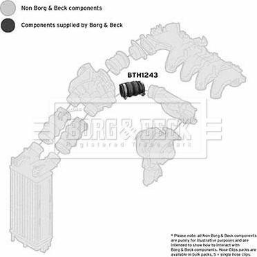Borg & Beck BTH1243 - Gaine de suralimentation droxauto.com