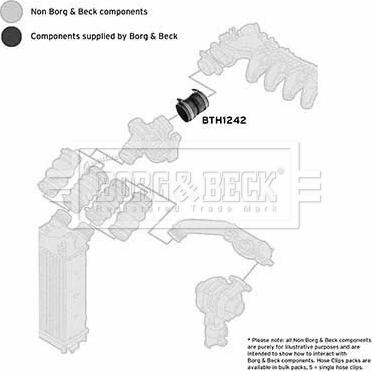 Borg & Beck BTH1242 - Gaine de suralimentation droxauto.com