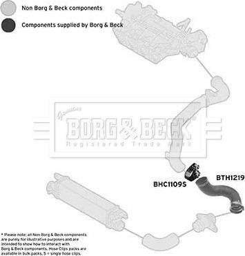 Borg & Beck BTH1219 - Gaine de suralimentation droxauto.com
