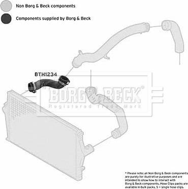 Borg & Beck BTH1234 - Gaine de suralimentation droxauto.com