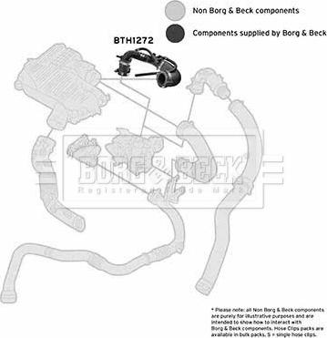 Borg & Beck BTH1272 - Gaine de suralimentation droxauto.com